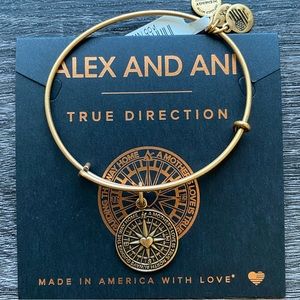 Alex and Ani: True Direction Bracelet